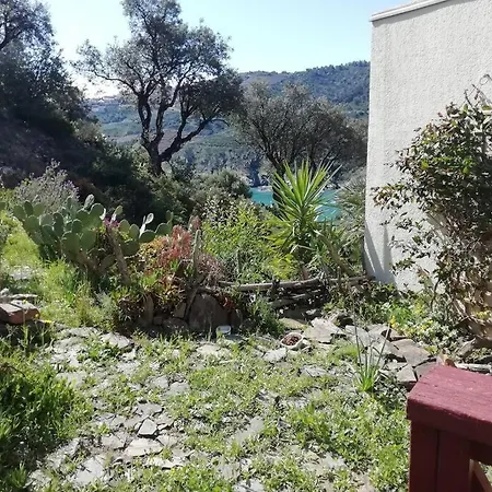 Appartement Les Pieds Dans L'eau ! Cerbère