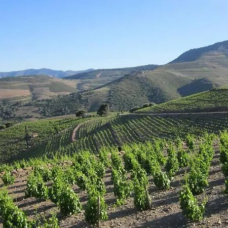 Les Pieds Dans L'eau ! 公寓 *