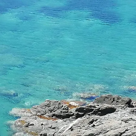 Les Pieds Dans L'eau ! *