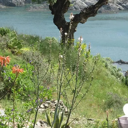 Les Pieds Dans L'eau ! * Cerbère