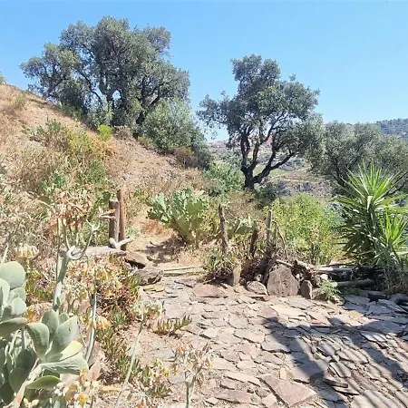 Les Pieds Dans L'eau ! Cerbère