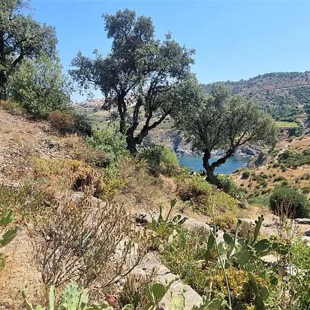 Les Pieds Dans L'eau ! Apartment *