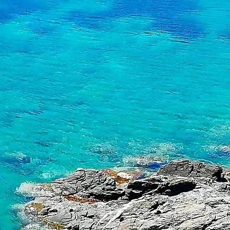 Les Pieds Dans L'eau ! Apartman Cerbère